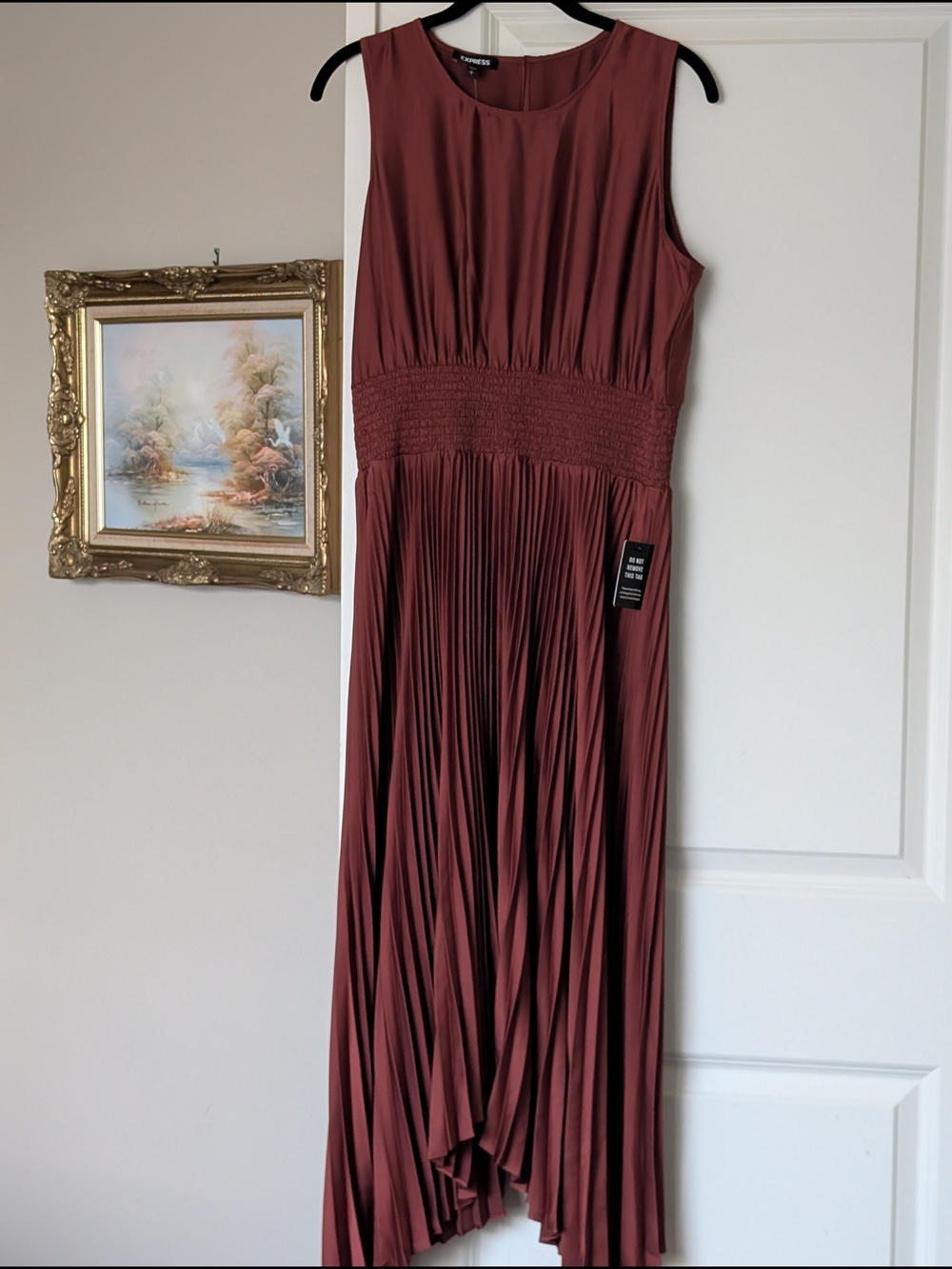 Express Rust Pleated Party Cocktail Maxi Dress
